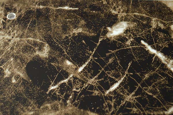 ZɭW(wng)uv 